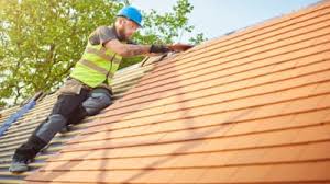 Best Roof Maintenance and Cleaning  in Darien, IL