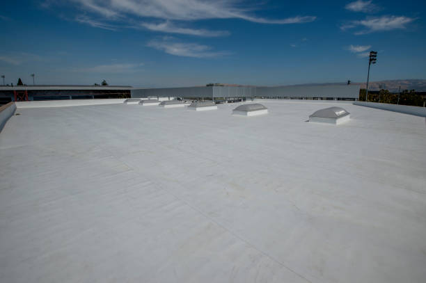 Best Asphalt Shingle Roofing  in Darien, IL