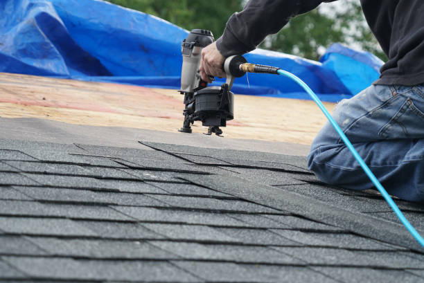 Best Roof Moss and Algae Removal  in Darien, IL
