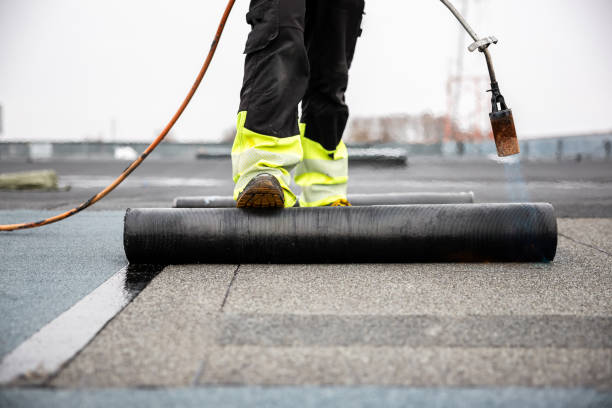 Best Roof Leak Repair  in Darien, IL